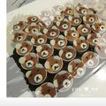 Yi-xuan LU 的 🧁熊美眉蜂蜜杯子蛋糕 cooksnap