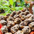 Cooksnap dari Nova Halida untuk resep Bakso Tahu Semarang