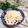 May 的 【厚生廚房】糖醋蓮藕片 cooksnap