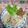 Cooksnap dari Ririe Hannah💐 untuk resep Nasi Liwet Ricecooker Simple