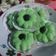 Cooksnap dari Ratih Anita Dewi untuk resep Bolu Putih Telur (Kukus)