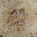 Kajal takur का कुकस्नैप जब उन्होंने पनीर का पराठा (Paneer ka paratha recipe in hindi) बनाया था।