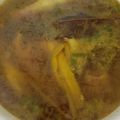 Cooksnap dari Chaca Chairunnisa untuk resep Soto Ceker Kuah Bening(11)