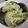 Priyangi Pujara's cooksnap of when they made Pan Ice Cream.