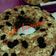 Cooksnap dari Mờnậ Tinneke Đữngữs untuk resep Cake pisang no mixer