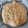 Cooksnap piotrus90 z czasów, kiedy przygotował Focaccia z jogurtem.