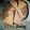 Ummuraatu's cooksnap of when they made Vanilla cupcakes.