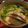 Roddy Shaw 的 水煮冬蔭魚 cooksnap