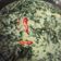 Cooksnap dari Esti Lh untuk resep Sayur daun singkong kuah santan