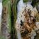Cooksnap dari Sutini Tini untuk resep Nasi Bakar Uduk Tongkol Suwir Pedas Kemangi