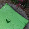 Cooksnap dari Florensia Wenda untuk resep Bingka Telur Pandan Kukus khas Banjar