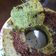 Cooksnap dari Chrisnani Andreanna Fauzi untuk resep Bolu Pisang Pandan Kukus No mixer