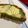 El cooksnap de Carla Pelliccioni cuando hizo Tarta de brócoli con masa integral casera 🥦🥦🥦.