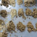 Cooksnap dari budhyw untuk resep Diet Oat Cookies (eggless)
