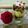 Rupali Kolvekar's cooksnap of when they made Fruit trifle.