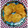 Shyamala Senthil's cooksnap of when they made நிப்பட்டு / தட்டை (Nippattu recipe in tamil).