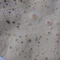 Mumtaz Ramzan's cooksnap of when they made Chapati.