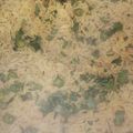 Krishna garg का कुकस्नैप जब उन्होंने मटर पुलाव (matar Pulao recipe in Hindi) बनाया था।