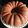 barbara.sharp.1481's cooksnap of when they made Best sour cream pound cake.