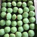Cooksnap dari Okkie untuk resep Apem Tape Nasi
