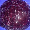 Cooksnap dari Rosa Julianti untuk resep 339. Selai Buah Naga