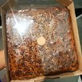 Cooksnap dari Mawar Butar Butar untuk resep Fudge Brownies Insert Cream Cheese