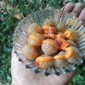 Cooksnap dari Mama gupita untuk resep Cilok Simple Takaran sendok
