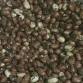 Sweta Jain का कुकस्नैप जब उन्होंने मसाला पीनट (Masala peanut recipe in hindi) बनाया था।