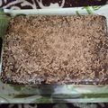 Anshi Seth का कुकस्नैप जब उन्होंने ओवन चॉकलेट केक (oven chocolate cake recipe in Hindi) बनाया था।