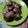 Cooksnap dari Simba Telon untuk resep Brownis Drink beng-beng Kukus