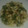 El cooksnap de Pocoyo Pocotu cuando hizo Sepia a la plancha con picadillo.