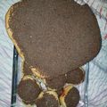 El cooksnap de Sebastian Facundo Tasin cuando hizo Tortitas negras.