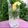 Cooksnap από 𝒳𝓇𝓊𝓈𝑜𝓊𝓁𝒶 𝒦𝑜𝓃𝓉𝑜𝓅𝑜𝓊𝓁𝑜𝓊 στη συνταγή Mojito το αυθεντικό