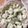 SherryRandall: The Leftover Chronicles 's cooksnap of when they made grandma's creamy cucumbers.