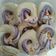 Cooksnap dari CUT NANDA MEUTIA untuk resep Meringue Cookies/ Kue Putih Telur