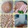 Cooksnap dari Nadra Koetin untuk resep Kacang sangrai cemilan ala diet kenyang hughes