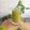 Deepa Rupani's cooksnap of when they made Raw Aam Panna - Green Mango Panna - Kachi Kairi Panna.
