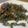 Cooksnap de Lo Reine sur la recette Salade de lentilles