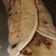 El cooksnap de sonia cuando hizo Tacos de cerdo y verduras.