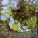 Cooksnap dari abung abubakar untuk resep Ketupat Sayur labu siam
