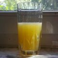 Gabi Takács Cooksnap-ja, amikor elkészítette a(z) Barackos-mentás limonádé receptet.