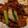 carasum 的 酸辣小封肉（10分鐘） cooksnap