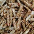 Cooksnap dari Ulfah Nuralifah untuk resep Kacang Umpet Pedas Manis