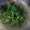 Cooksnap dari Galuh Novita untuk resep Sayur Bening Bayam bumbu Kencur