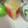 El cooksnap de Esteban Cáceres cuando hizo Pisco sour con jengibre.