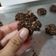 Cooksnap dari Citra Ayu Mauludya untuk resep Oat Cookies (4 bahan)
