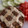 El cooksnap de Pía Romero cuando hizo Quiche integral pollo-champiñón- choclo-crema-queso.