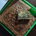 Cooksnap dari Yane Kitchen's untuk resep Zebra cake