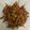 Cooksnap dari diska yunita untuk resep Sambal goreng teri pete (pedas)