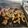 Maheen Momin's cooksnap of when they made Mutton Masala Chops.